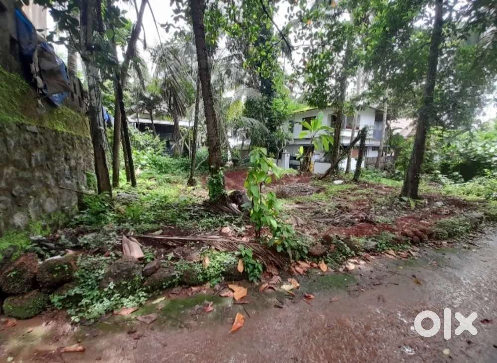 4 cent plot for sale in paroppady 12lhk/cent