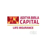 Aditya Birla Bancassurance channel