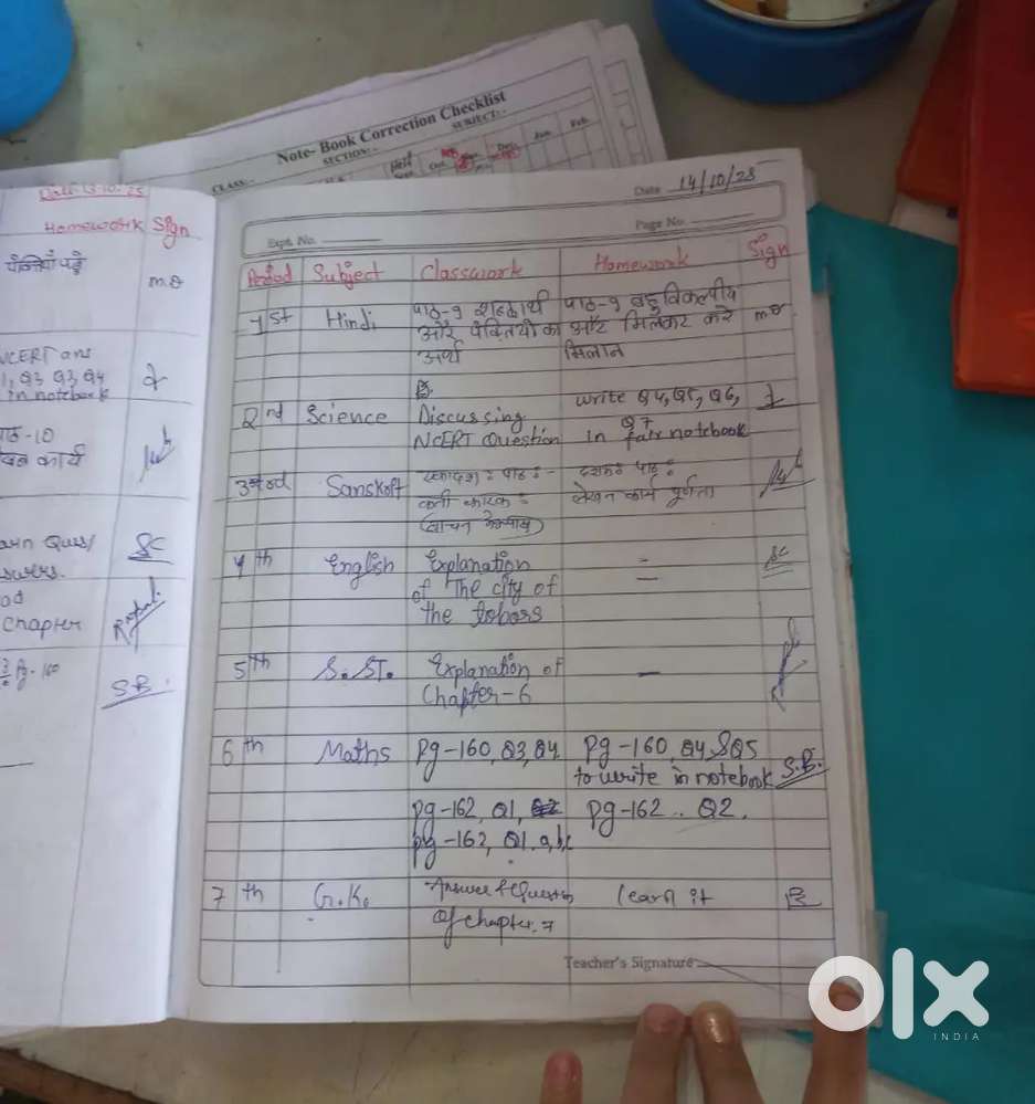 Female home tutor