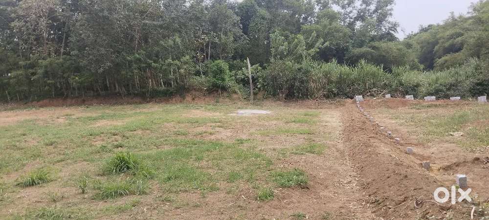 Plot for sale at Pirayil , peyad