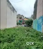 Plot shop or home