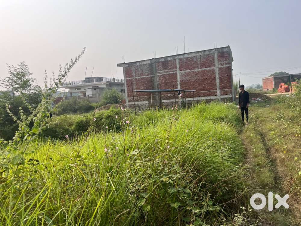 1Biswa Chhavani Line Residential Plot For Sale