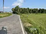 8,00000 myadi plot