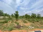 400 square yards Shri gandham plantation Plot Sale