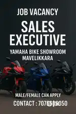 Marketing Executive