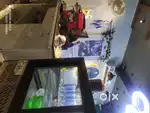 Chef for restaurant