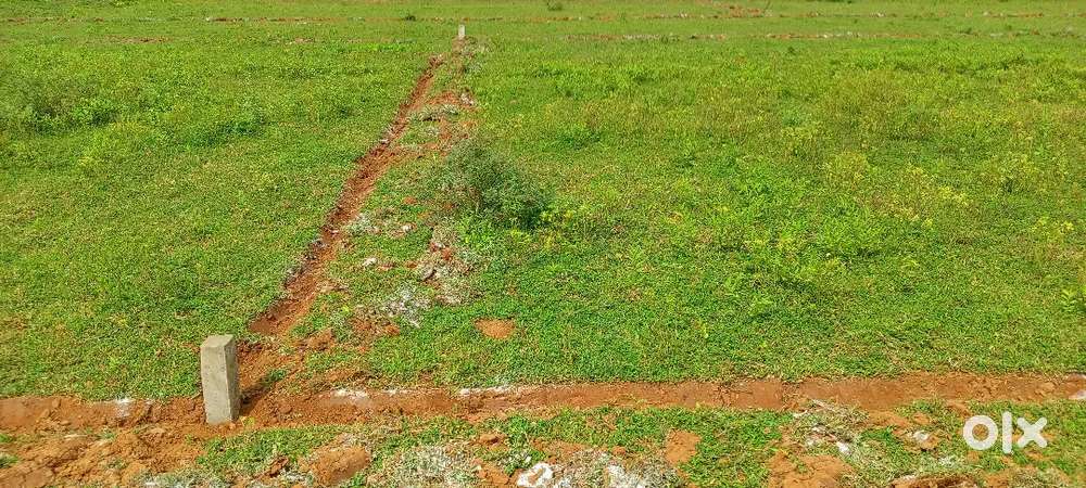 Nuagaon general plot (5 decimal )for sale ₹110000/decimal