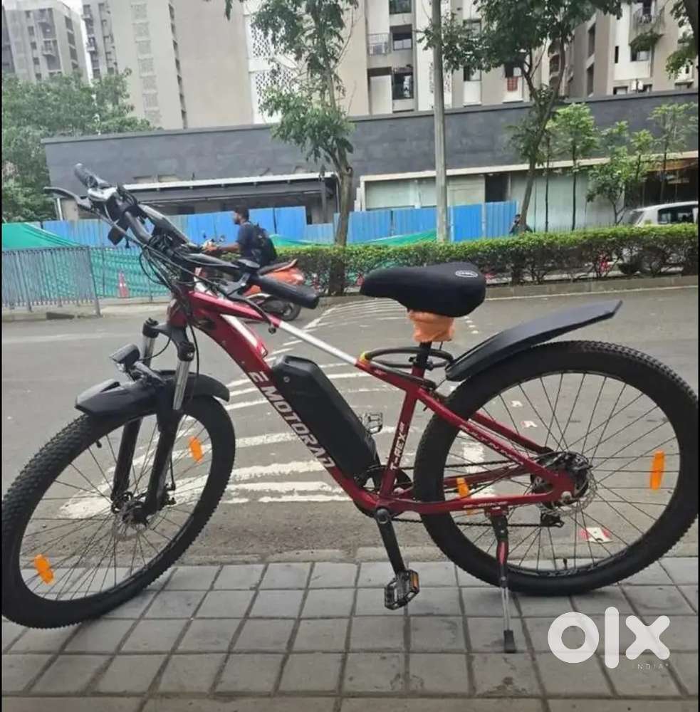 EMotorad T Rex Air Electric Cycle