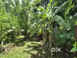 19 cent Residencial Land Ayyanthole Thrissur