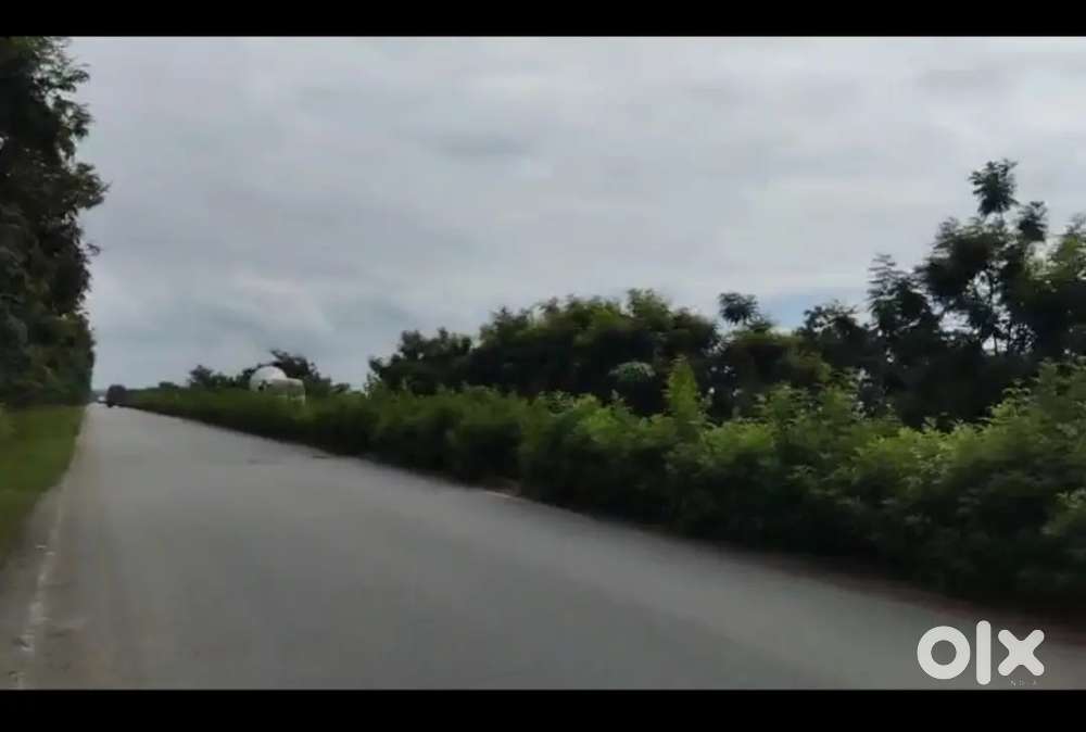 Excellent 100 Feet Commercial land at Shankarpalli near Villas