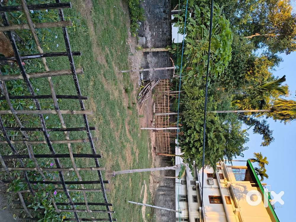 Land for sale in Bamparbatia