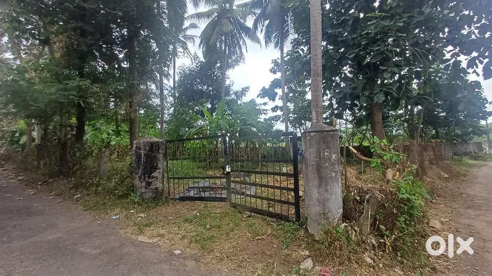 Residential Plot -18 cent, 12 cents, 6 cents @ kuttur