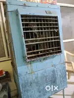 Coller selling