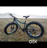 Cycle waltx dune 3 fat tire cycle 1 year 6 months old