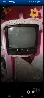 Bpl tv ek dam chalo condition me