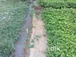 Karur paramathi nearby 6.6 acre for sale