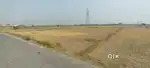 6 biswa bechna SC plot hai ..850000 per biswa.negotiable