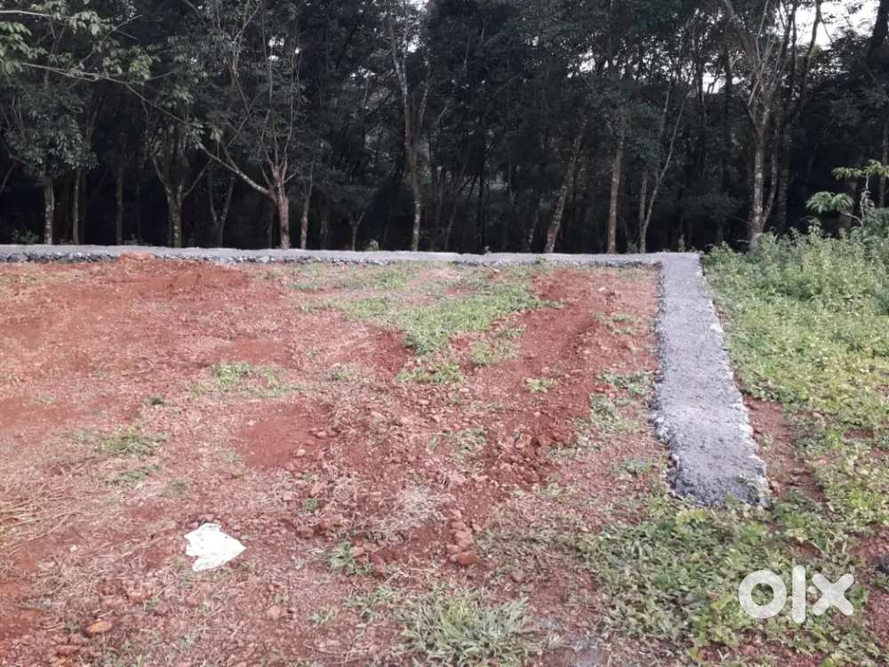 5 cents at Pepathy Arakkunnam.