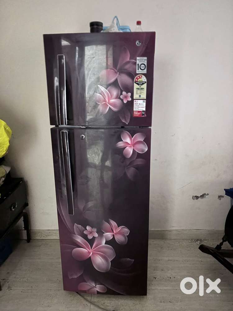 LG double door