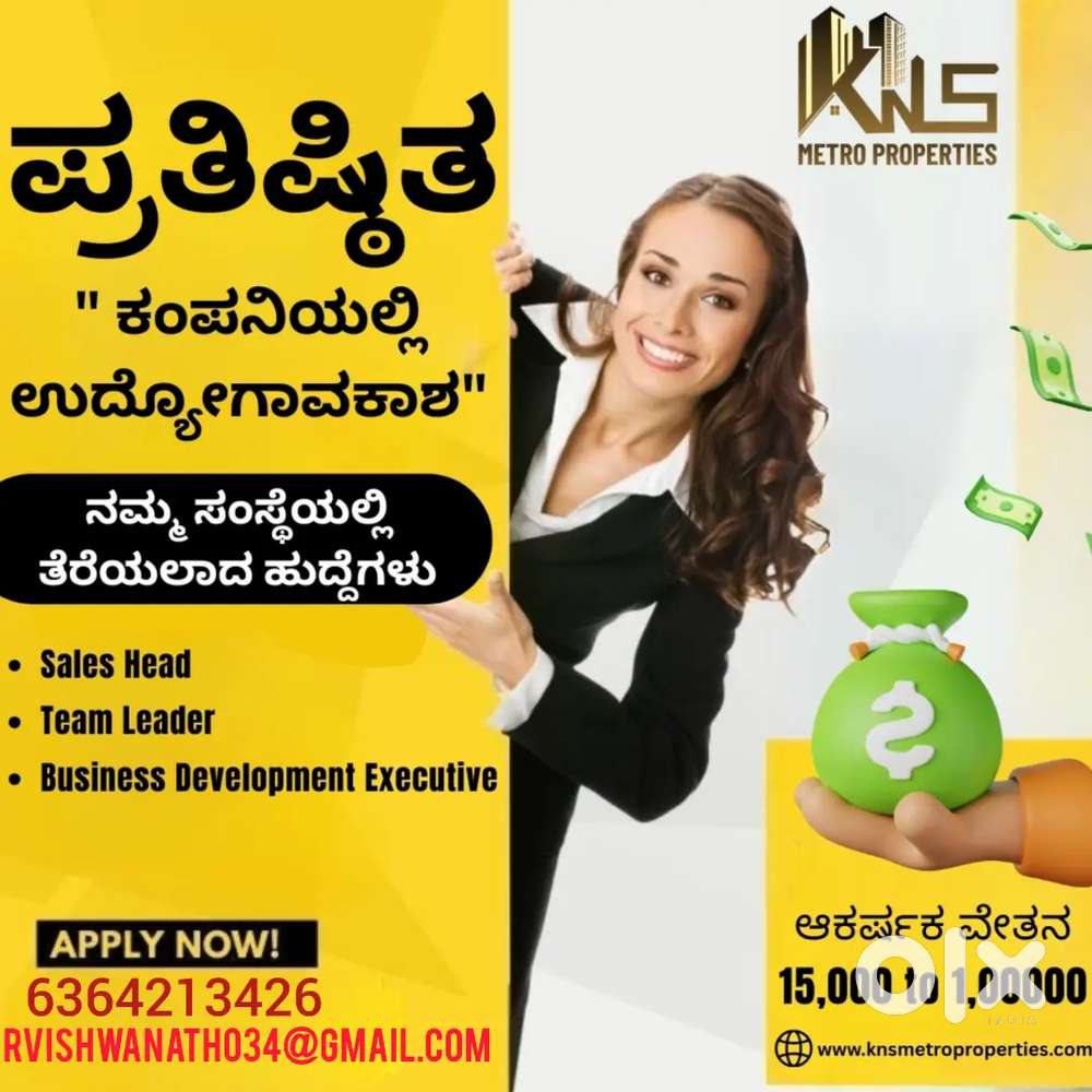 Business development executive