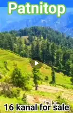 16 kanals at Patnitop