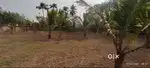 Residential/Commercial Land near Kochi Airport