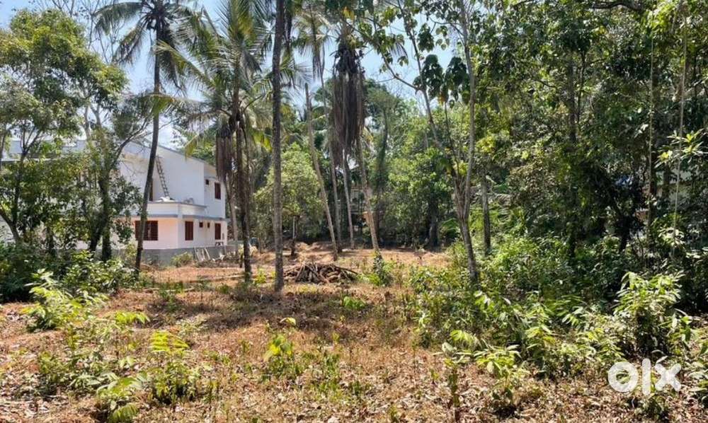 Road side 30 cent for sale