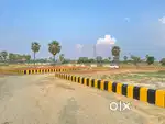 Khujali नगराम रोड पर किस्तों में plot आधा पैसा देकर  तुरंत रजिस्ट्री