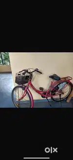 Lady bird bycycld