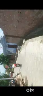 Road per plant hai