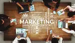 Marketing Executive
