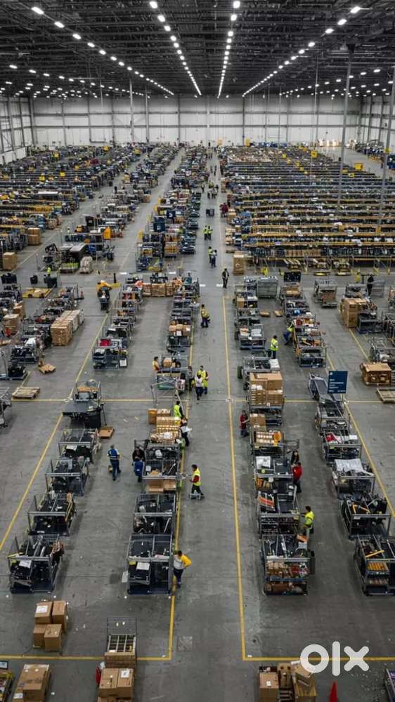 We want experienced and fresher persons in warehouse