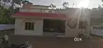 53 cent house and plot for sale near mallapally -vennikullam main road
