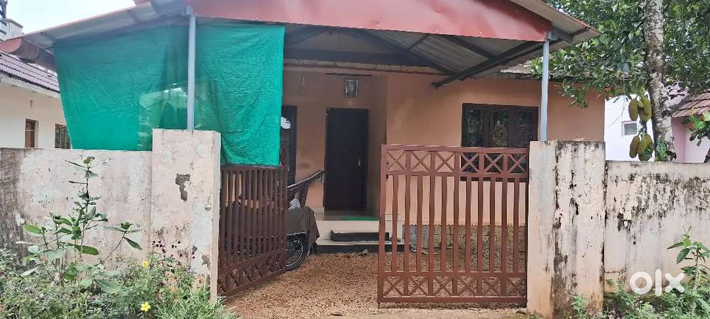 House with 10 cent plot