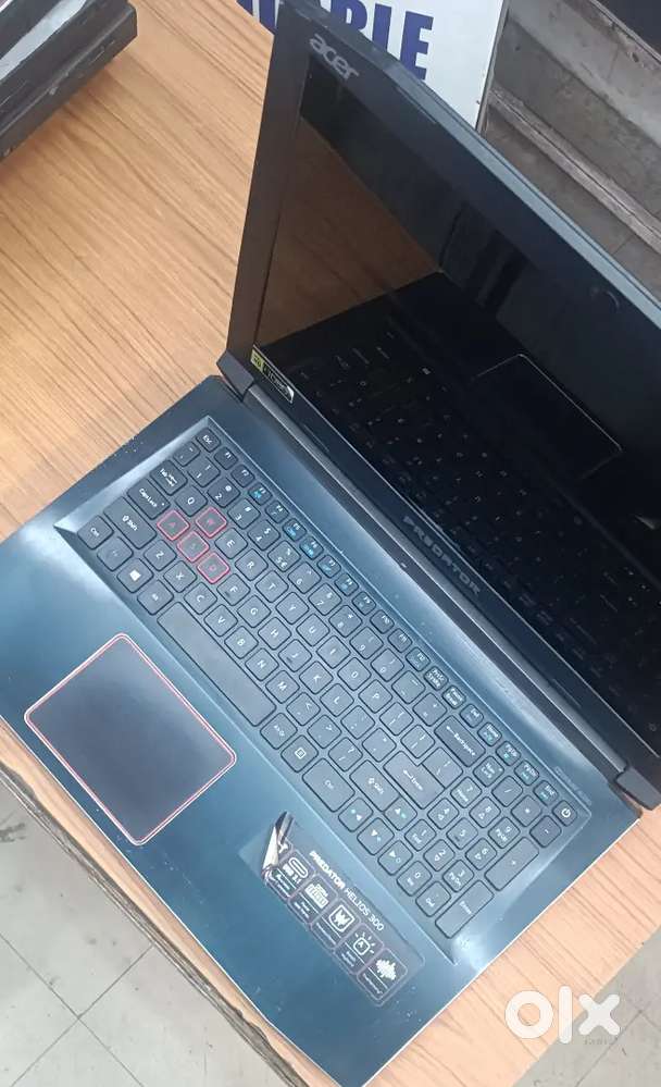 Acer predator