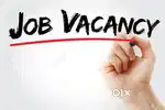 Tele calling , Team leader , assistant manager