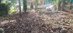 7 cent plot for sale