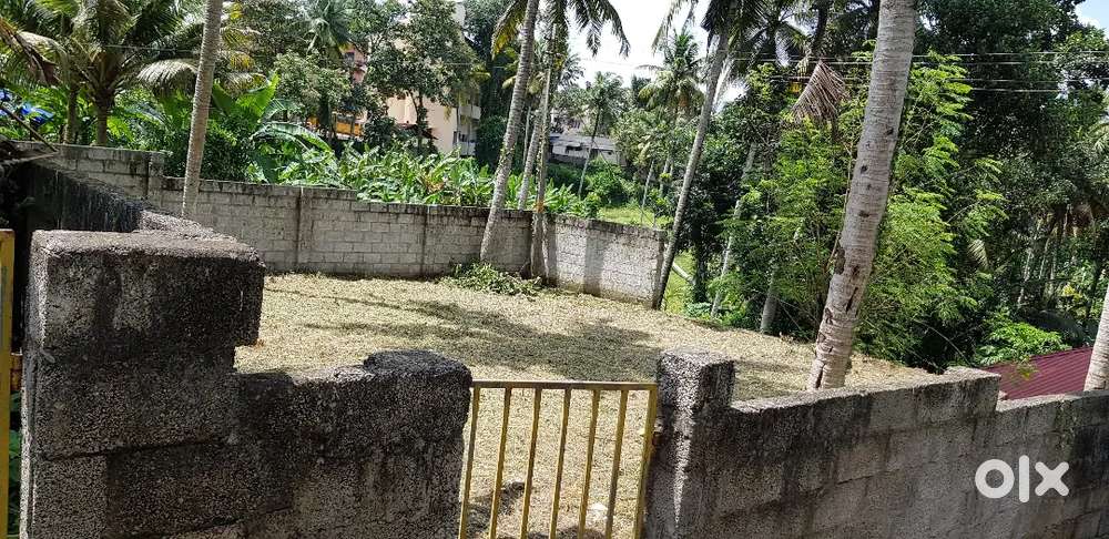 Plot for sale 5 cents vattiyoorkavu bharatheeya vidhya bhavan school