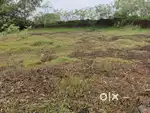 Site for Sale in Kamblapadav Mudipu