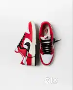 Nike dunks models