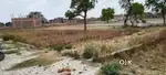 100 gaj pooni roar