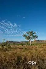 325 YARD plot available for sale