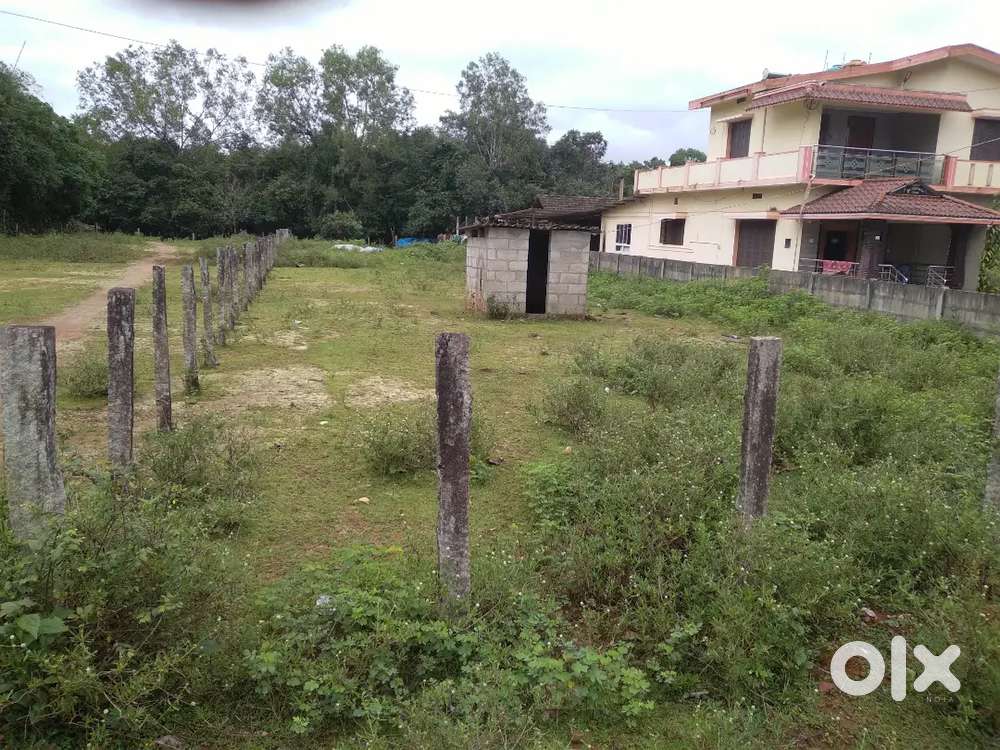 Duoble site on Thirthahalli-Konandur State highway