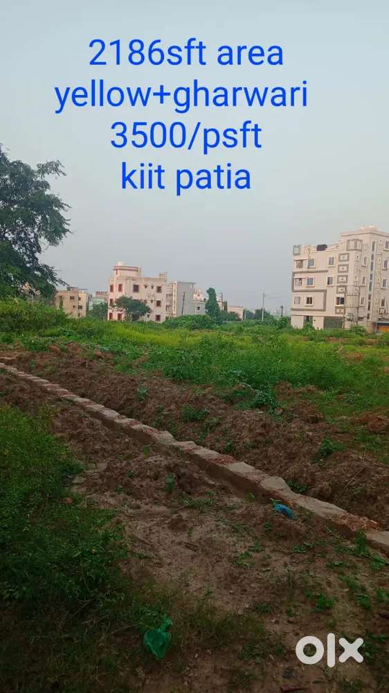 Plot sale Urgent  kiit Jagannath temple road