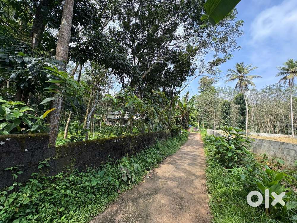 Plote with rubber for sale in Pullad