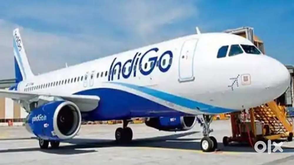 Urgent Requirement For Ground Staff Jobs In IndiGo Airlines