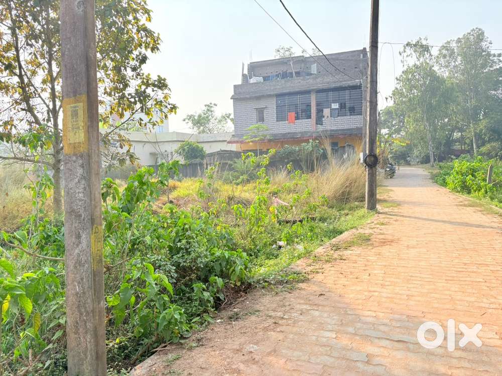 Paremeswar Nayak gali 5.5 kadi is ready for sale