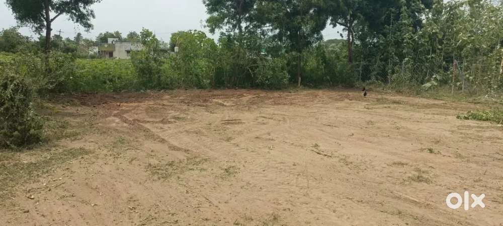 Panruti rasapalayam junction near plot for sale dtcp approval