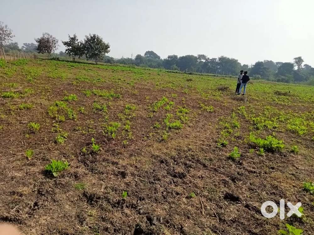 RESIDENTIAL PLOTS AVAILABLE