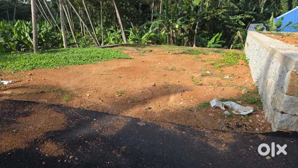 New house plot available Mannanthala powdikonm bus stop near